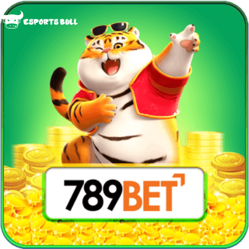 Termos e Condições